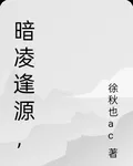 暗凌逢源， 封面