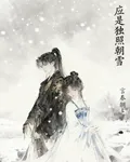 應是獨照朝雪 封面