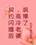 契約閃婚後，高冷老婆颯爆了 封面