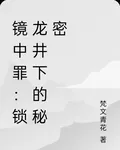 鏡中罪：鎖龍井下的祕密 封面