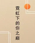 霓虹下的你之巔 封面