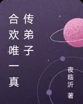 合歡唯一真傳弟子 封面