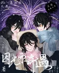 因光而奇遇 封面