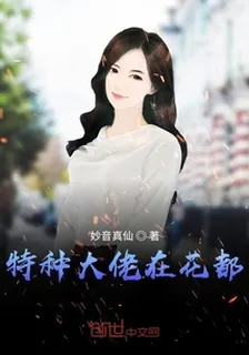特種大佬在花都 封面