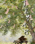 夏末琴音錯 封面