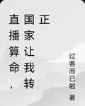 直播算命，國家讓我轉正 封面