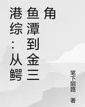 港綜：從鱷魚潭到金三角 封面