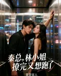 秦總，林小姐撩完又想跑了 封面