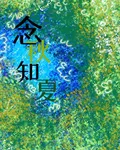 念秋知夏 封面