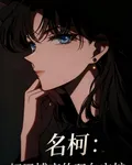名柯：紅黑博弈的雙向守護 封面