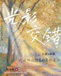 若你想成爲光，那我便作你影 封面