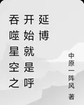 吞噬星空之開始就是呼延博 封面