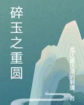 碎玉之重圓 封面