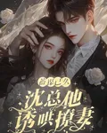 蓄謀已久，沈總他誘哄撩妻 封面