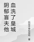 陰鬱盲夫他血洗了皇城 封面