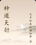 種道天衍 封面