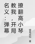 名義：彈幕教我，開局撩翻高小琴 封面
