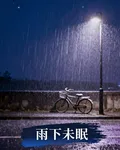 雨下未眠 封面