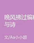 晚風拂過編程與詩 封面