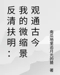 反清扶明：我的微縮景觀通古今 封面