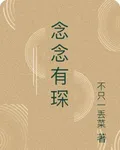 念念有琛 封面