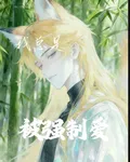 葉羅麗我總是被強制愛 封面