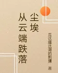 從雲端跌落塵埃 封面