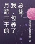 月薪三千的我，包養了總裁 封面