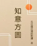 知意方圓 封面