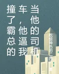 撞了霸總的車，他逼我當他的司機 封面