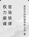 權力巔峯：官場鐵律 封面