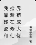 我靠碰瓷和撿漏在修仙界苟成大佬 封面