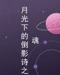 月光下的倒影詩之魂 封面