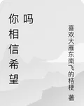 你相信希望嗎 封面