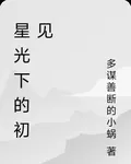 星光下的初見 封面