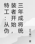 特工：從僞裝者開始，三年成將統 封面