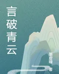 言破青雲 封面