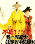 不是？我一假道士，穿到龍珠！ 封面