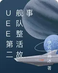 UEE第二艦隊整活故事 封面