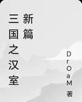 三國之漢室新篇 封面