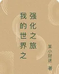 我的世界之強化之旅 封面