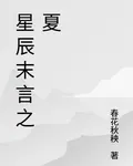 星辰末言之夏 封面