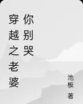 穿越之老婆你別哭 封面