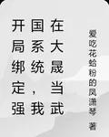 開局綁定強國系統，我在大晟當武 封面