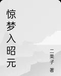 驚夢入昭元 封面