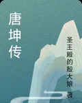 唐坤傳 封面