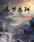 天下懸陽 封面