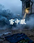 霧中眼 封面