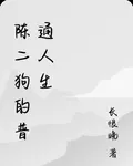 普通的張總人生 封面