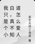 我只是個小白，真不知道怎麼愛人 封面